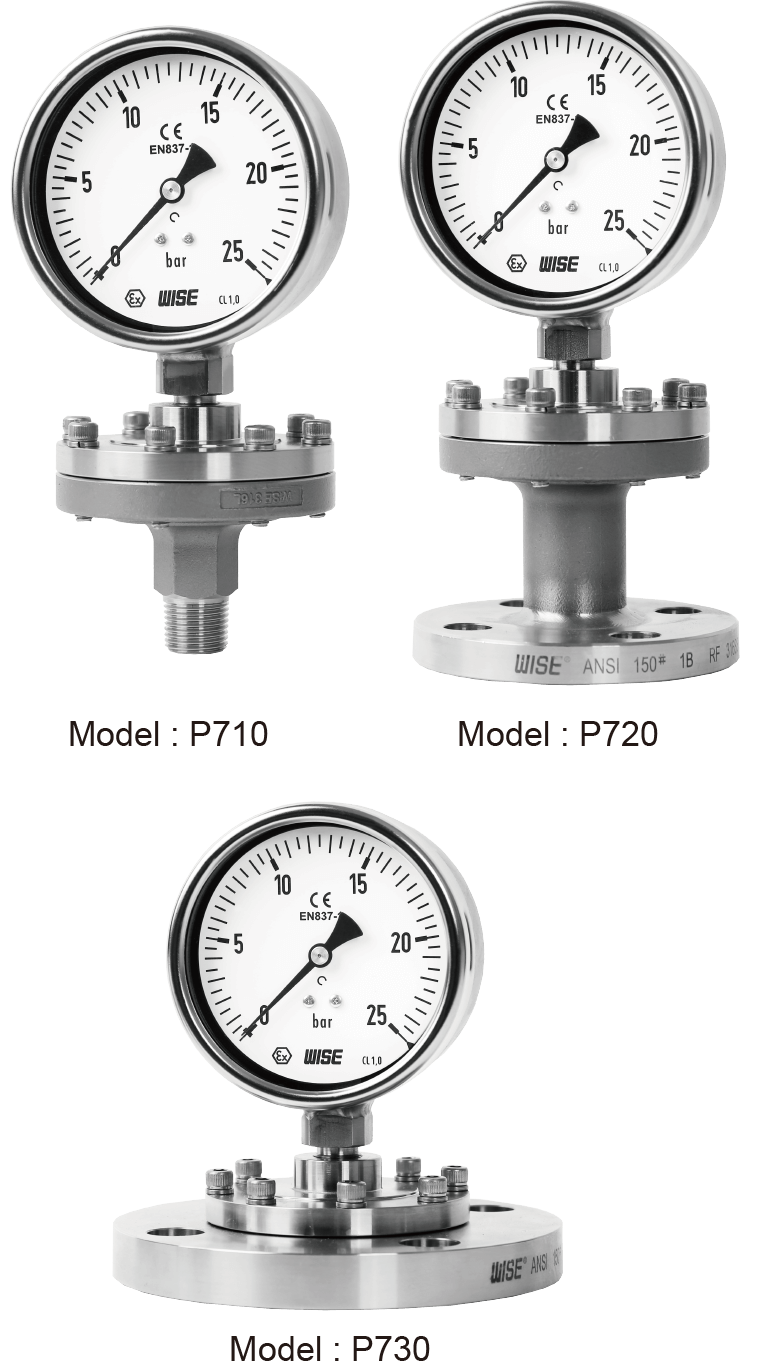 diaphragm seal